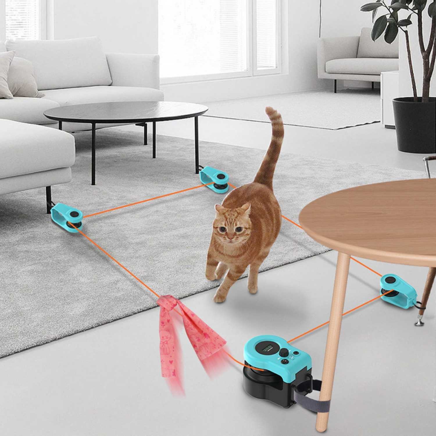elektrisch katten speelkoord kat speelt met automatisch bewegende speelkoord